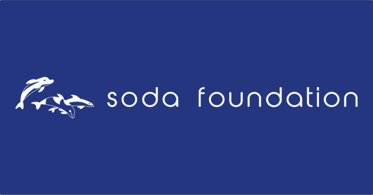 soda foundation